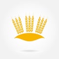 Wheat ears or rice icon. Crop, barley or rye symbol. Agriculture design element.